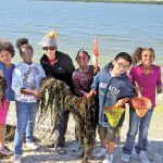 article image - 